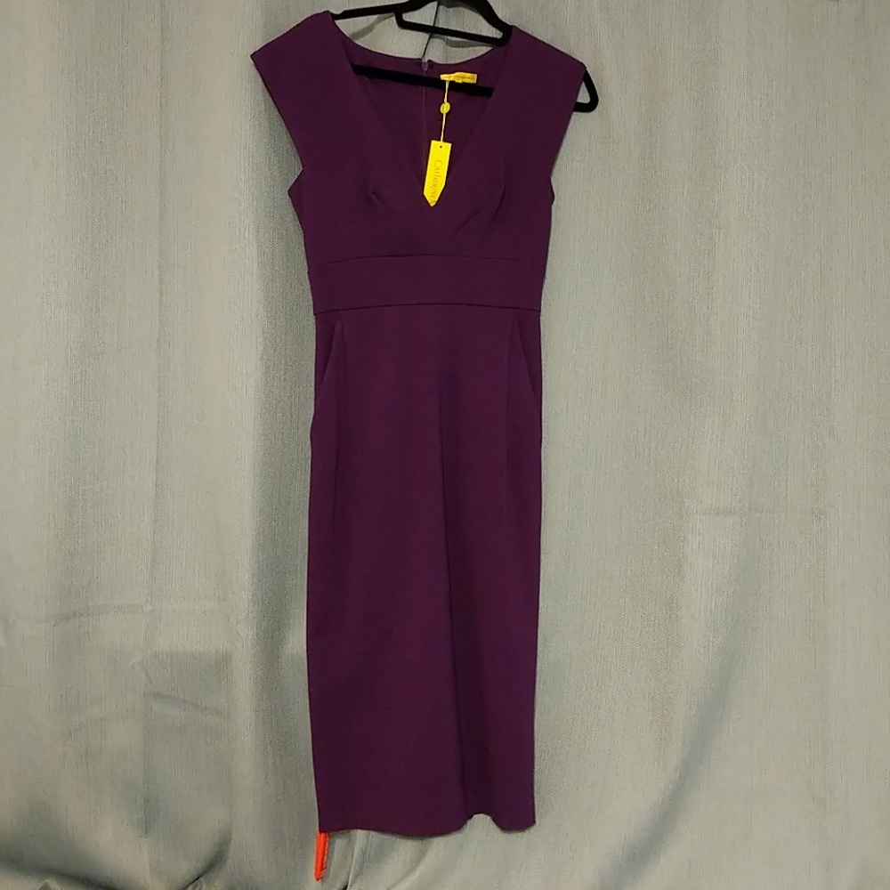 Gorgeous Deep Purple Catherine Malandrino Dress
